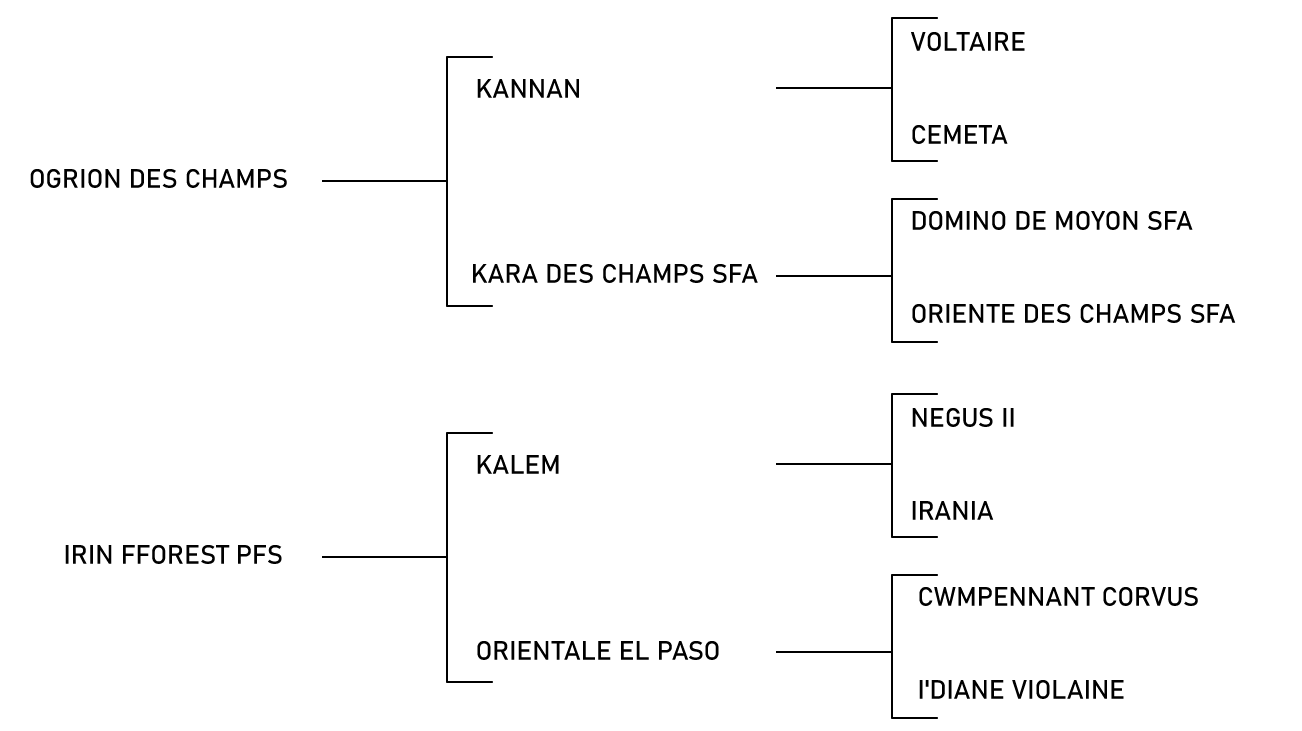 pedigree du cheval