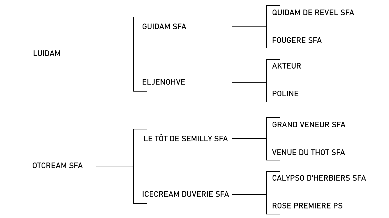 pedigree du cheval