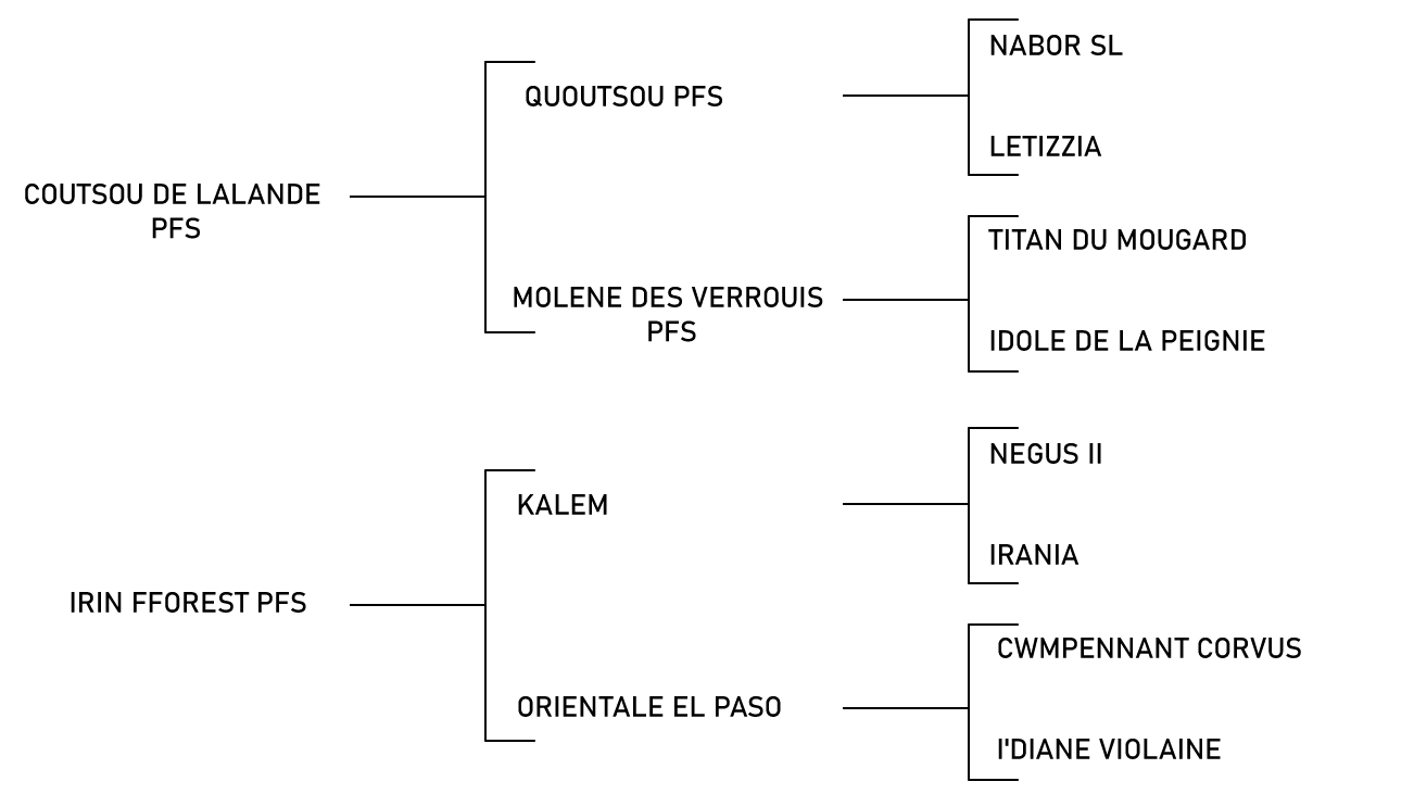 pedigree du cheval