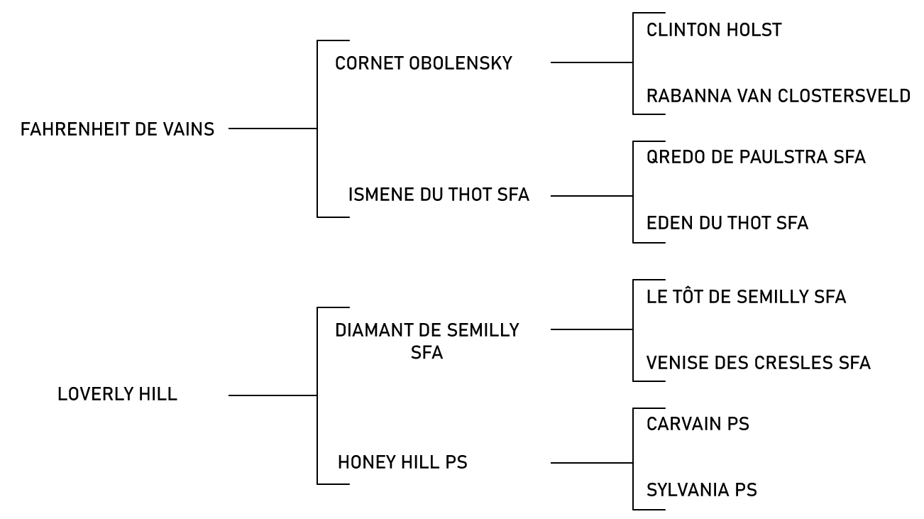 pedigree du cheval
