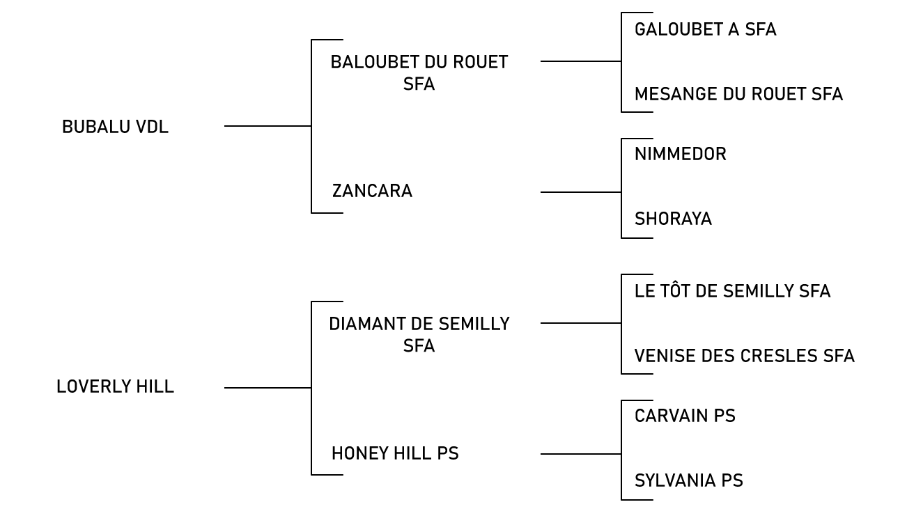 pedigree du cheval