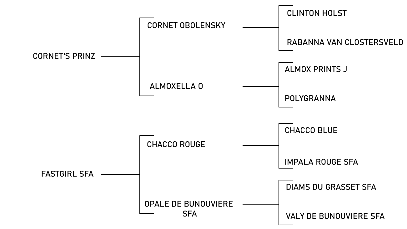 pedigree du cheval
