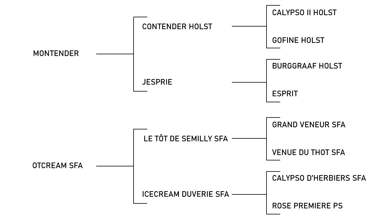 pedigree du cheval