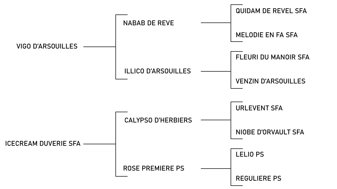 pedigree du cheval