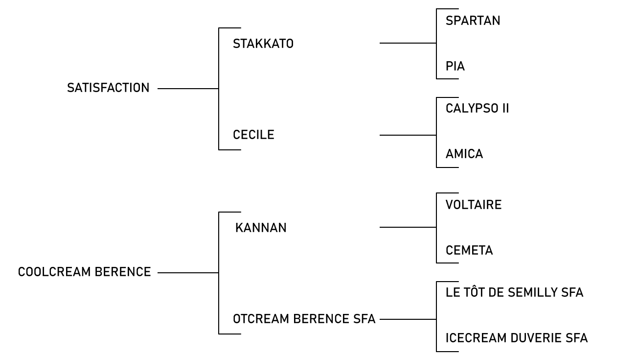 pedigree du cheval