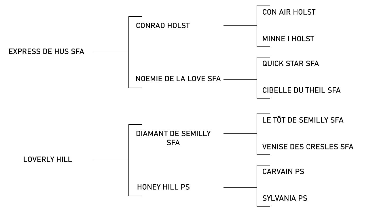 pedigree du cheval