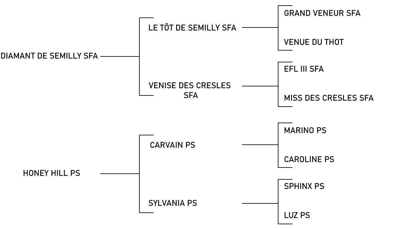 pedigree du cheval