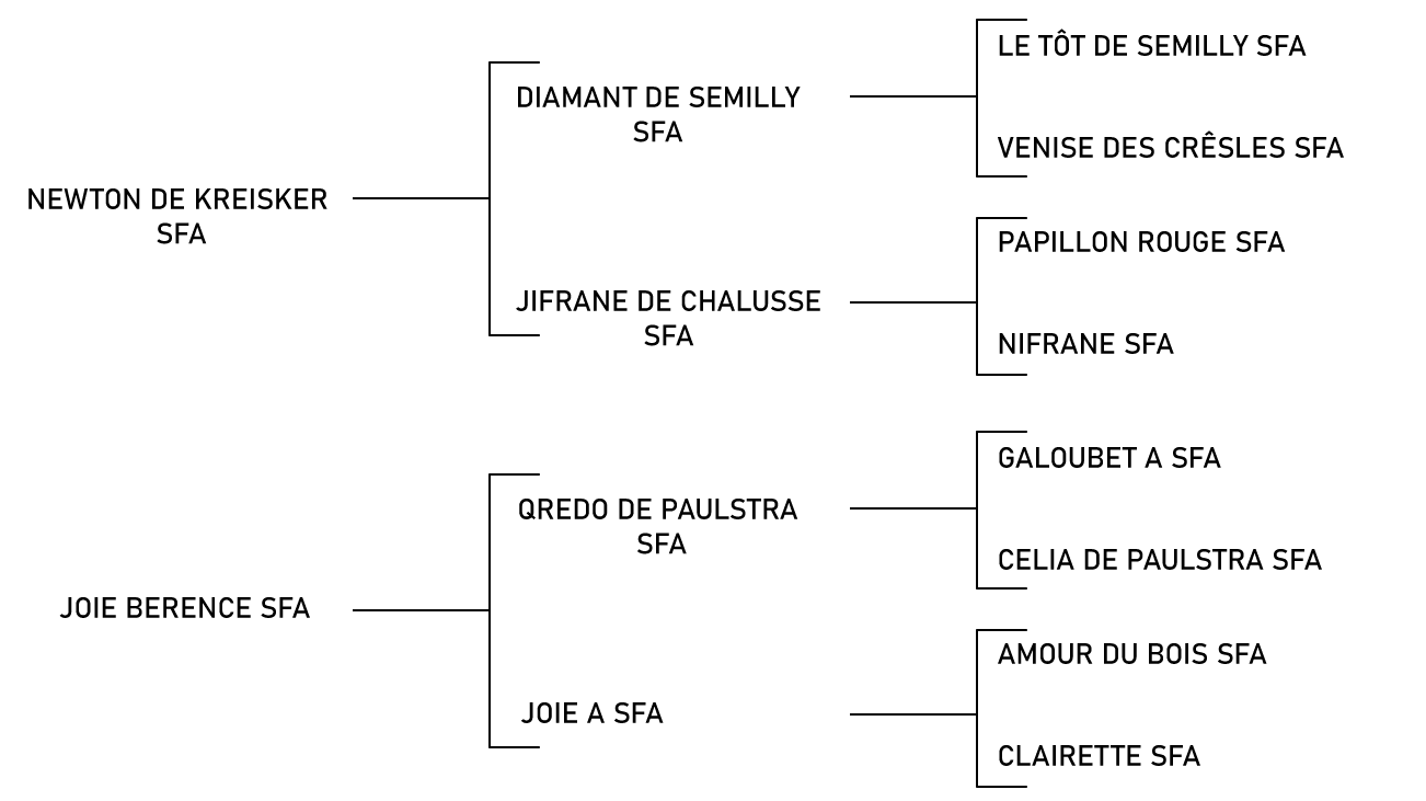 pedigree du cheval