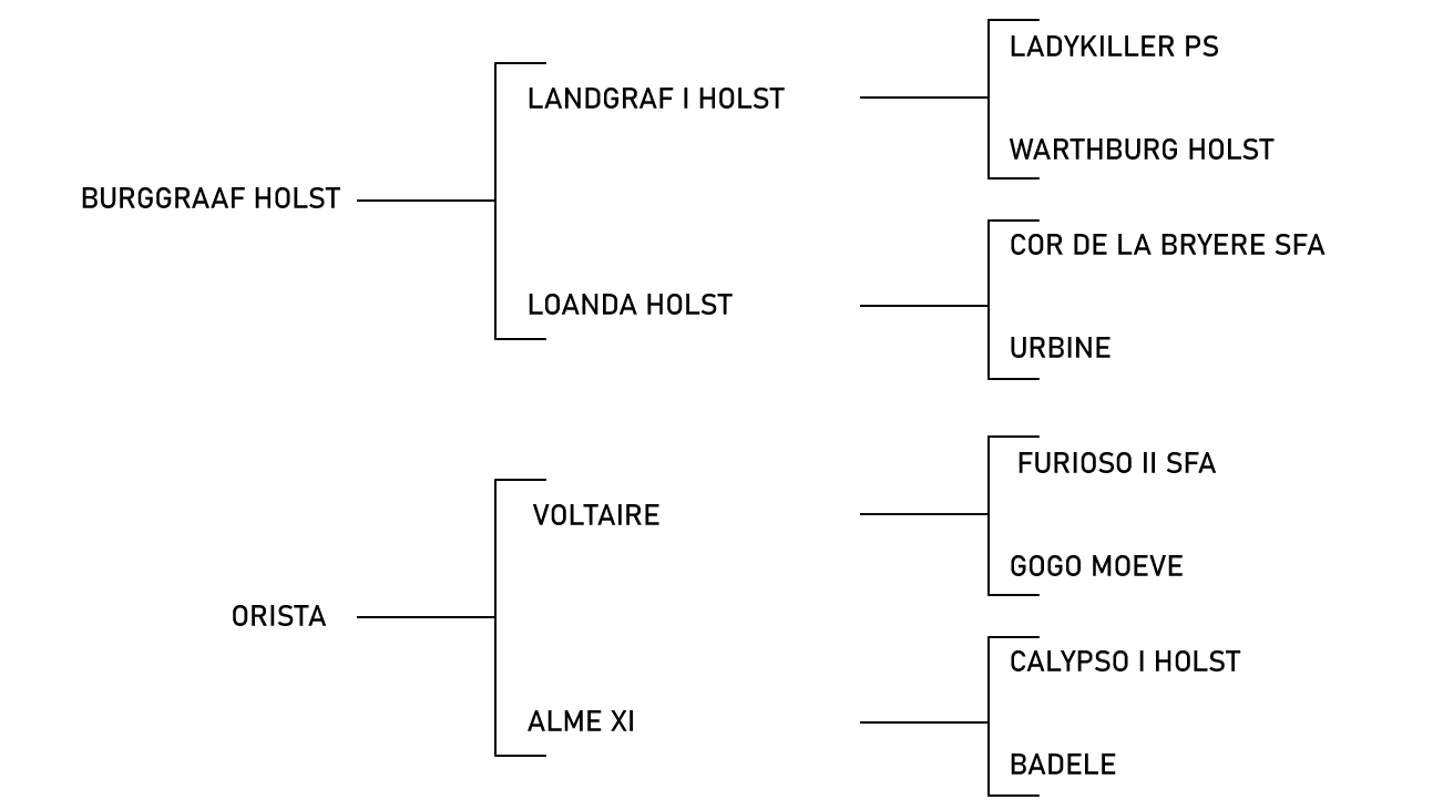 pedigree du cheval